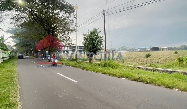 Tanah Sawah Luas Dekat Pusat Perkantoran & RSUD Kanjuruhan Cocok Investasi