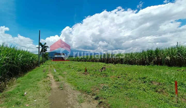 Tanah Kavling Pakisaji Pinggir Jalan Raya Cocok Hunian, Investasi
