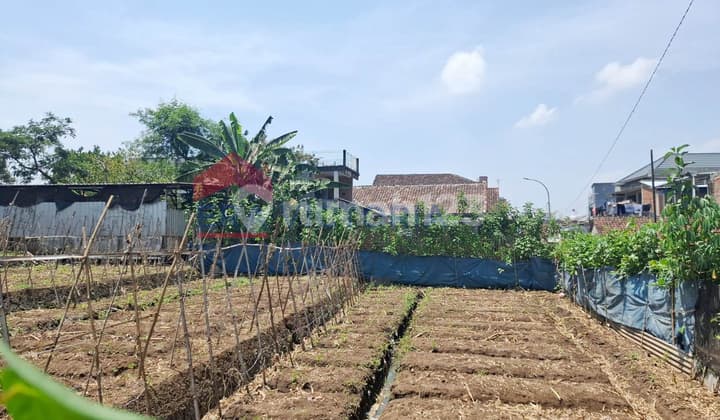 Tanah Strategis 50 Meter dari Raya Karangploso Cocok untuk Hunian atau Kebun Pribadi