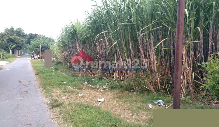 Jual Tanah di Besuk Gurah Kab Kediri Dekat Pondok Gontor