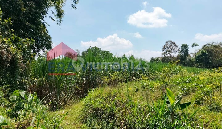 Tanah Luas View Gunung Semeru Investasi Menjanjikan Dekat Pasar Wates