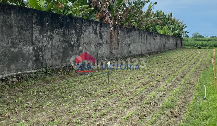 Investasi Tanah di Katang Kediri - Zona Usaha, Perhotelan, dan Perkantoran
