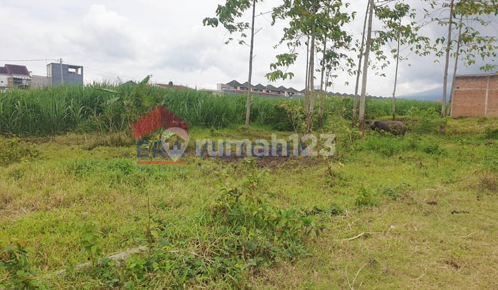 Tanah Dijual Sukun Malang Dekat Ocean Garden 3 Kavling Jadi 1 SHM