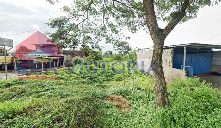 Tanah Lokasi Premium Jalibar Kepanjen Dekat SPBU & Perumahan