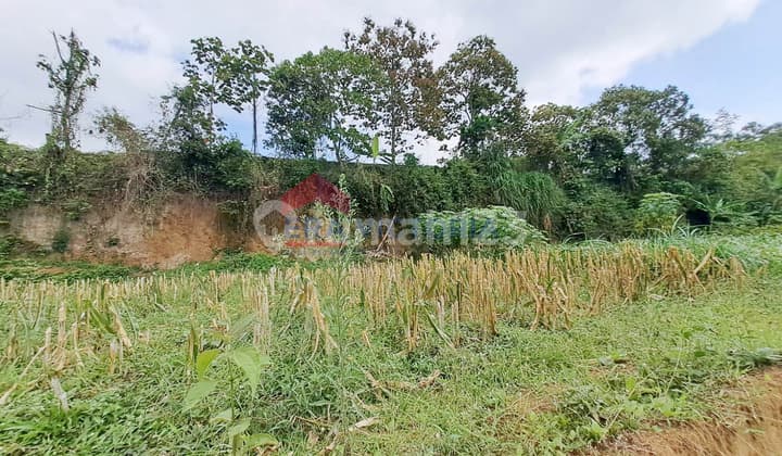 Dijual Tanah Purwosekar Tajinan Cocok Hunian, Usaha, atau Kebun