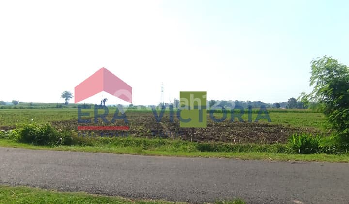 Tanah Jual Pinggir Jalan Badas Kab Kediri Luas 7978 m2