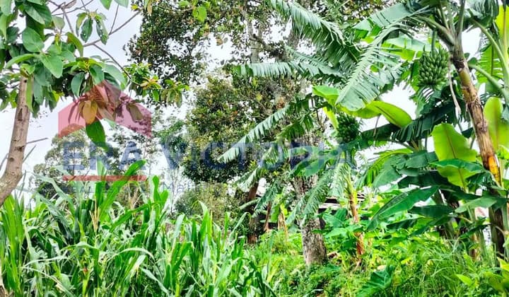 Tanah Junrejo Suasana Tenang dan Cocok untuk Segala Usaha