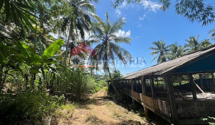 Tanah Sangat Luas Area Bantur Berada di Jalur Wisata Pantai Selatan Balekambang Cocok Untuk Investasi