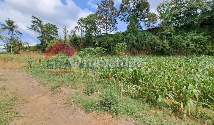 Tanah Strategis Purwosekar Tajinan Dekat Pondok Pesantren & D'Embung Park