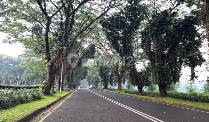 Jual Cepat Tanah Kavling Taman Dayu - Bloomfield Mountai Resort, Pandaan, Jawa Timur