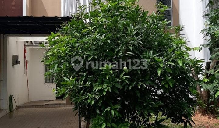 The Icon Langka Bsd Cosmo Rumah Depan Taman