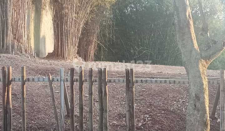 Tanah Luas 823m Murah Meriah Mewah Di Komp Bci Cinere