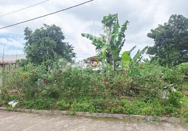 Kavling Ds Piyoto Tegal Gintungan Bandungan Jawa Tengah