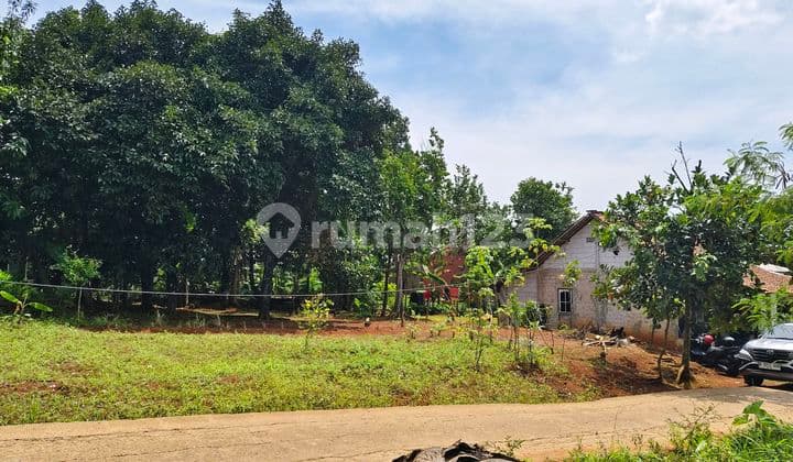 Tnh Murah Di Hoek,kp.waru Jaya,parung,diblakang Pasar Parung,sebelum Sekolah Mts Yapin 54,sebelum Clustee Green Land,lingkungan Disekitar Sdh Banyak Cluster² Baru