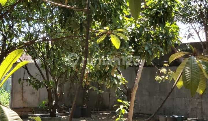 Dijual Tanah Ada Bangunan Di Sumber Porong Lawang