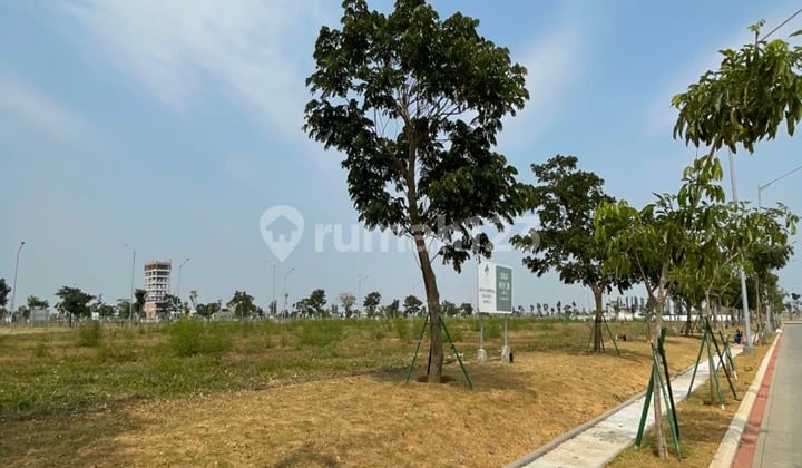 Cheapest Land Plot in PIK 2 Brooklyn Wallstreet, Can Build Up to 8 Floors (450m)