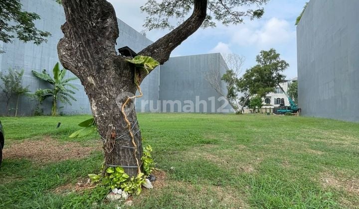 Kavling Diamond Taman Golf Timur Badan Harga Nego (700m)