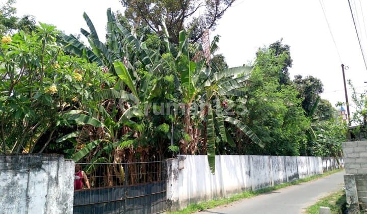 Tanah Darat Bebas Banjir Di Plemahan Kediri Jawa Timur