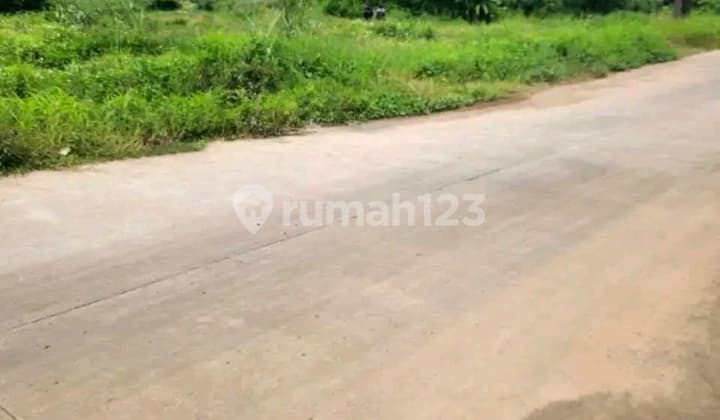 Promo Bombastis Kavling Murah bisa Dicicil di Ngaliyan