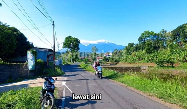 Tanah Murah Cocok untuk Investasi View Sawah di Gunungpati