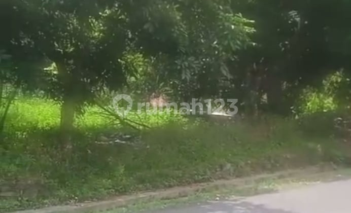 Cheap Land Adjacent to Road Suitable for Investment in Gunungpati