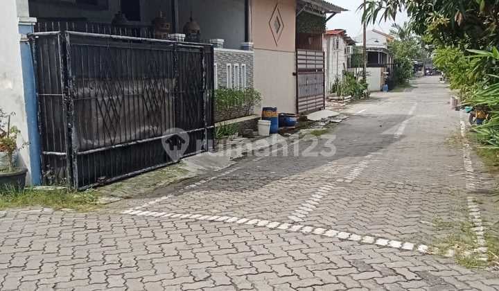 Rumah Mewah Siap Huni Murah di Bpd Tlogomulyo