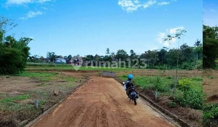 Cheap Land with Rice Field View Near Terminal in Gunungpati