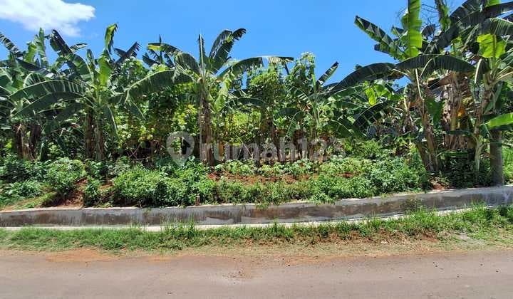 Tanah Murah Cocok untuk Investasi di Gebyog Patemon