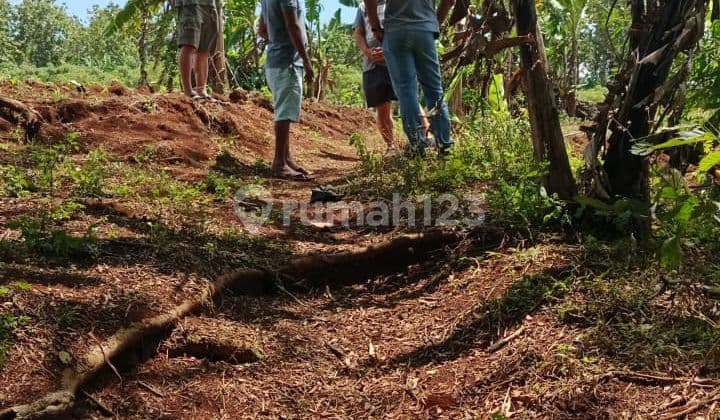 Tanah Murah Deket Kopi Blirik di Mijen