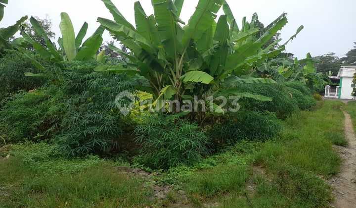 Tanah Kavling di Cilacap