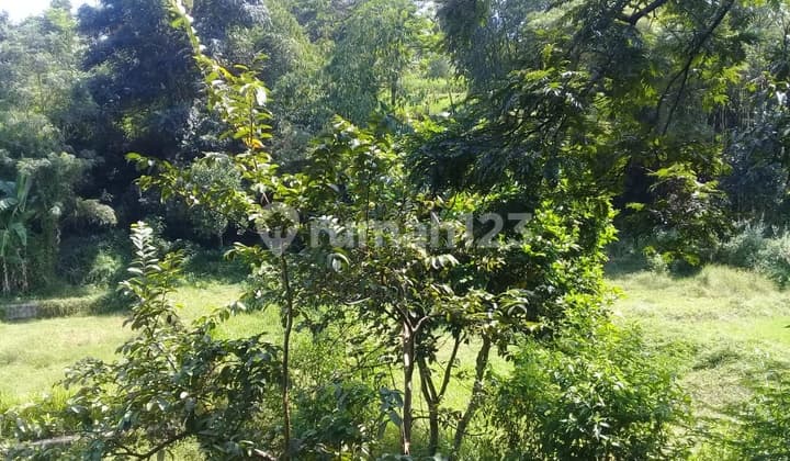 Kavling Cocok Untuk Perumahan, Sekolah Atau Cluster