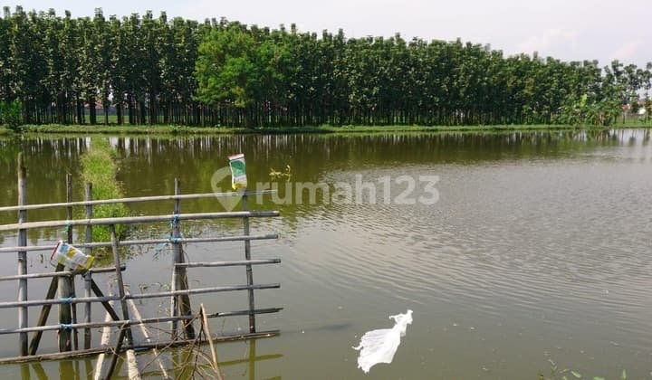 Land Inside the Ciwastra Housing Complex