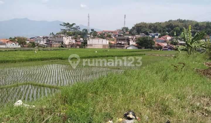 Tanah di Alpatu Soreang