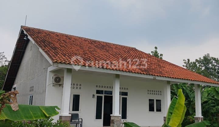 Di Jual Cepat Rumah Dan Tanah Kebun Luas Kemang Bogor Jawa Barat