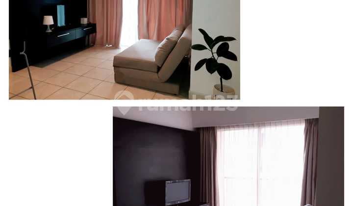 Disewakan Apart Moi 2 Br Ff
