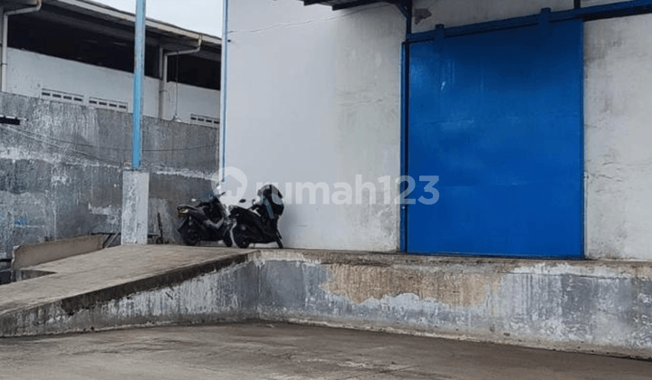 Rare! Gudang Besar Kamal Muara - Super Strategis