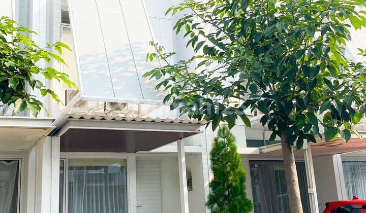 Stunning Ready-to-Occupy House in BSD City