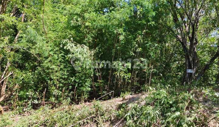 View 360 Derajat Ke Pantai Dan Laut Komodo