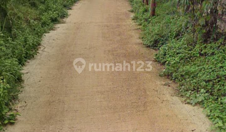 Tanah Luas Siap Bangun di Ciangsana