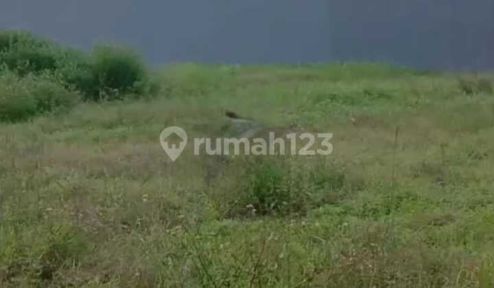 Tanah di Setu Bekasi Murah