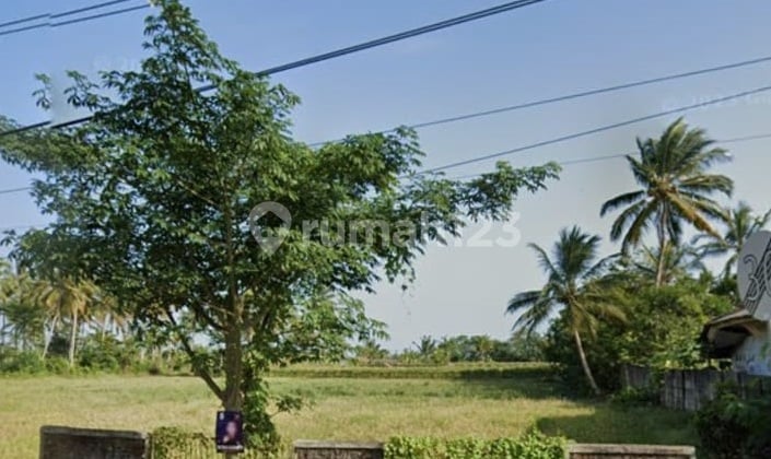 Kavling Jl. Raya Labuan Panimbang - Serang Banten (Ukuran 15000 m)