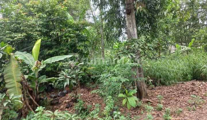 Quick Sale 2035 m2 Land On Roadside Near Cileles Tigaraksa Industrial Area