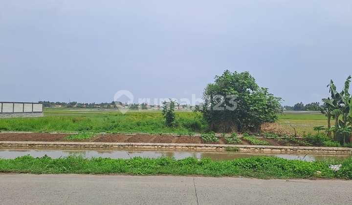 Jual Cepat Tanah Lt 2950 M2 di Jati Tanjakan Rajeg Tangerang