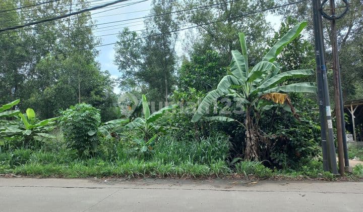 For Rent: Roadside Land Near Cileles Industrial Area
