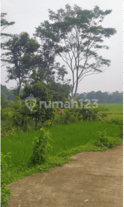 Jual Lahan Super Premium 15 Ha di Pinggir Jalan Tigaraksa Tangerang