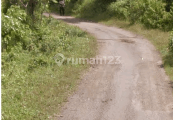 For Sale 70 Hectares of Land in Mayak Village, Curugbitung Subdistrict, Lebak Banten