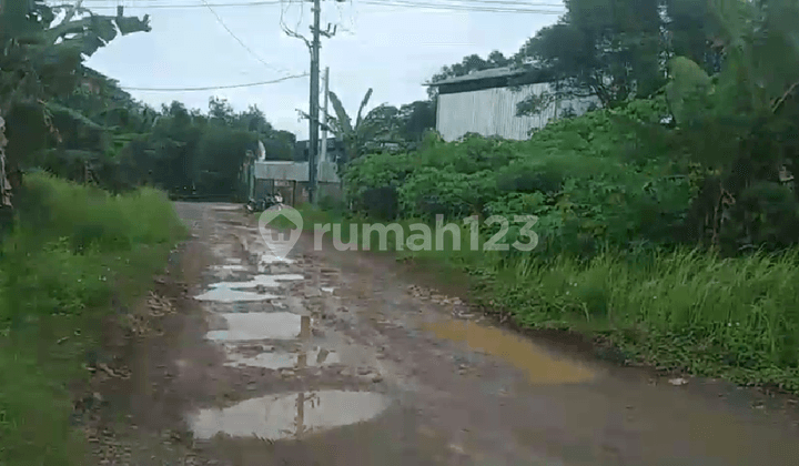 Quick Sale Industrial Zone Land 2250 M2 in Cileles Tigaraksa Tangerang