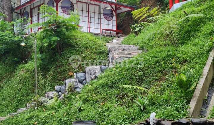 Quick Sale: Japanese Concept Villa, 1600 Sq M Land, In Mega Mendung, Bogor.