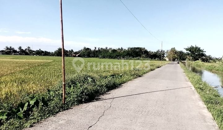 Jual Tanah Zona Perumahan LT 5 Ha di Sepatan Induk Kab Tangerang