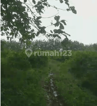Quick Sale 14.7 Ha Industrial Zone Land in Legok, Tangerang